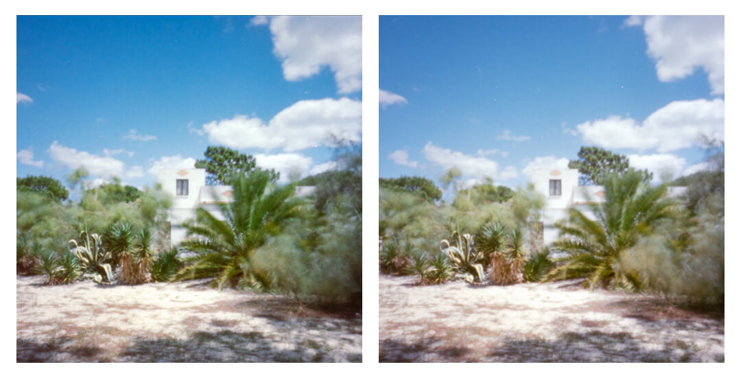 Stereoscopic image taken with MINUTA STEREO